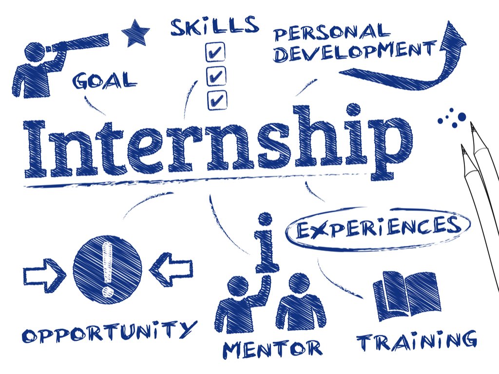 Internship and Placement Program at Siddhartha Scholar Academy